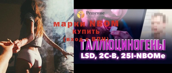 шишки Вяземский