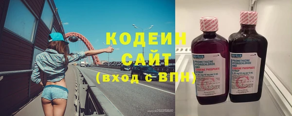 шишки Вяземский