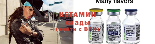 шишки Вяземский