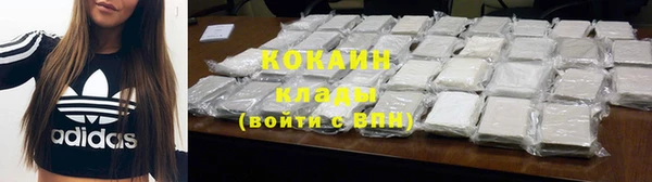 молекула духа Вязьма