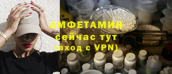 шишки Вяземский