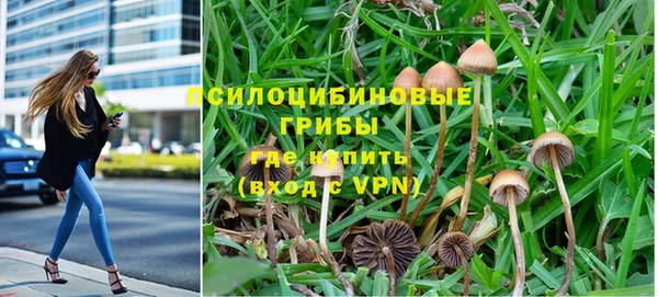 молекула духа Вязьма